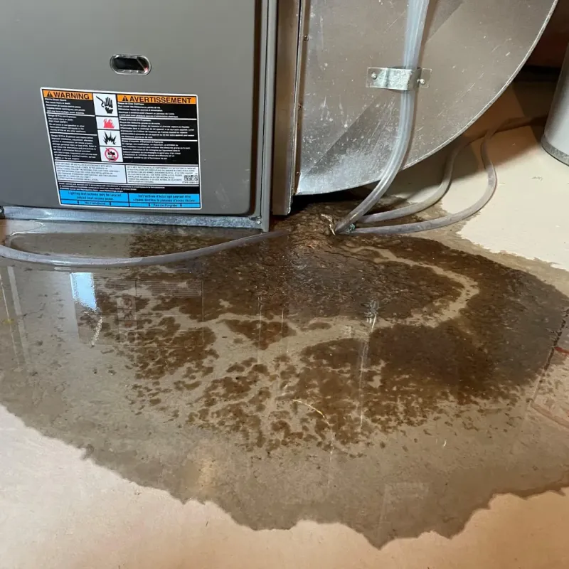 Appliance Leak Cleanup in Fort Defiance, AZ